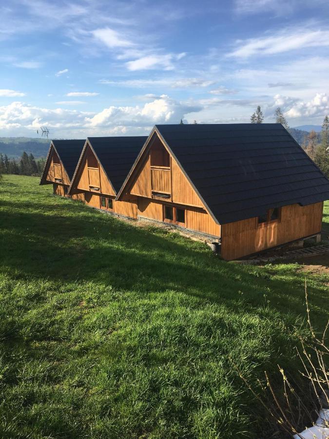 Domek Na Skarpce Закопане Экстерьер фото